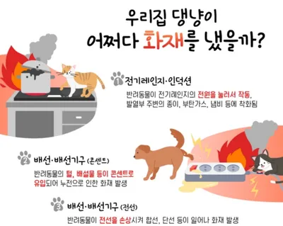문경소방서, 반려동물 화재예방 활동 전개