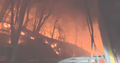 문경 톱밥공장 화재, 야산 확산 막아