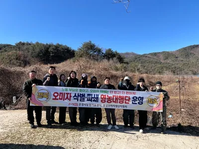 문경시, 전국 최초 오미자 삭벌·파쇄 영농대행단 운영