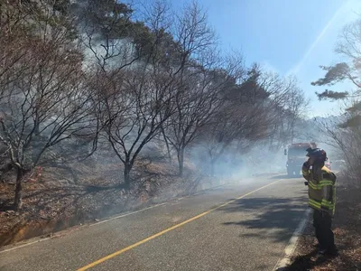 설날, 문경시 농암면 산불