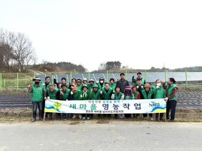 영순면새마을회, 사랑의 옥수수 심어