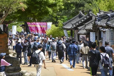 문경 관광 살리는 ‘첫 관문’…찻사발축제 5월 1일 대장정 돌입