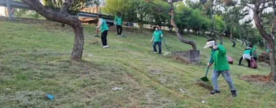 점촌5동 새마을회, 간선도로 중앙분리대 풀 베