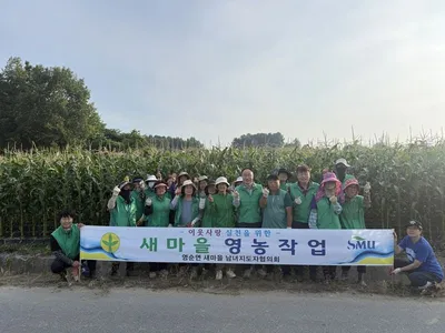 영순면 새마을회, 사랑의 옥수수 풍년농사에 구슬땀