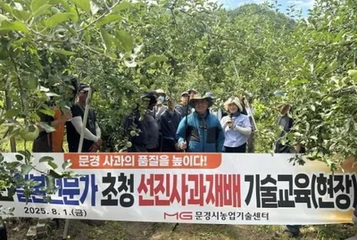 문경시, 일본 사과 전문가 초청… 프리미엄 사과 경쟁력 높인다