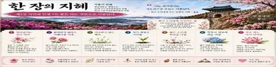 한 장의 지혜. 제2장 자연과 인생. 19) 꽃은 피는 것만으로 아름답다