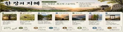 한 장의 지혜. 제2장 자연과 인생. 20) 자연은 최고의 스승이다