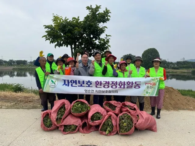 문경시 영순면, ‘가시박’ 퇴치 나서