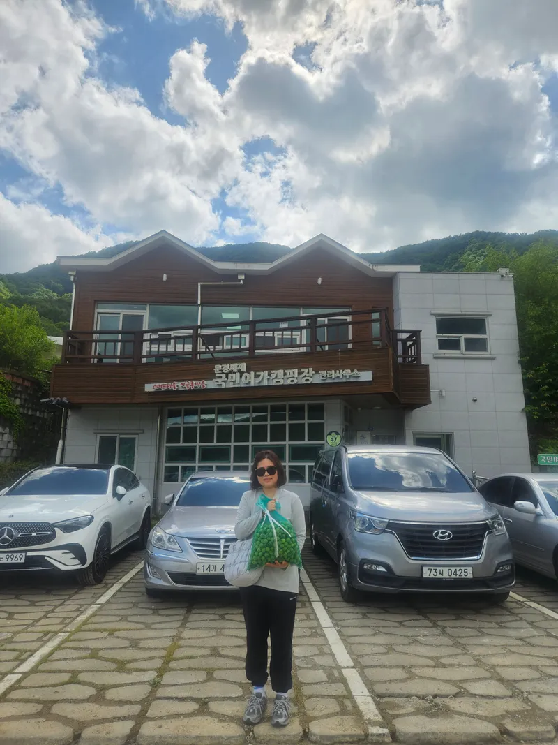 문경새재 국민여가캠핑장, 친환경 매실 따기 체험 운영