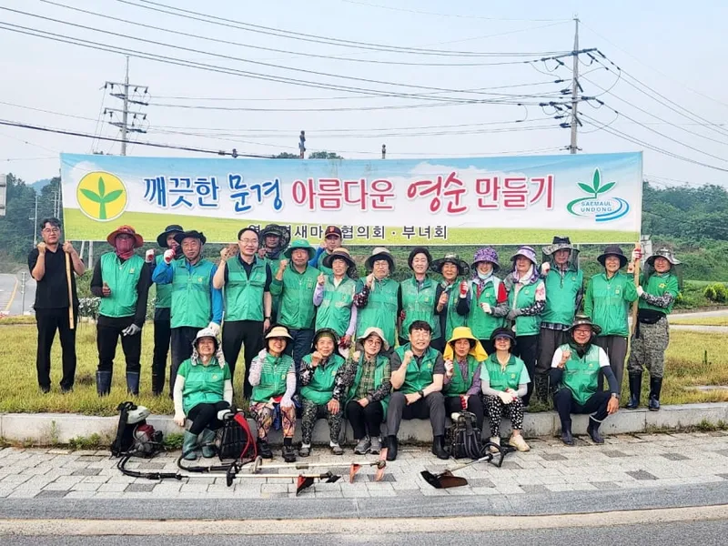 영순면새마을회, 도로변 풀 베고 환경정비