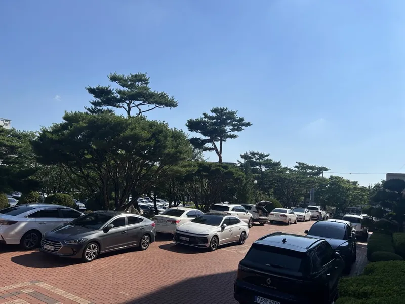 문경시청 주차 모습