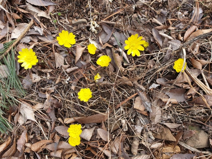 dba2ff91178fa3358d69b0e80b0eecaa