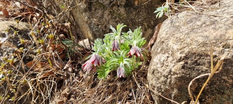 45852c2b7ef15bf6f8d5899f49565221