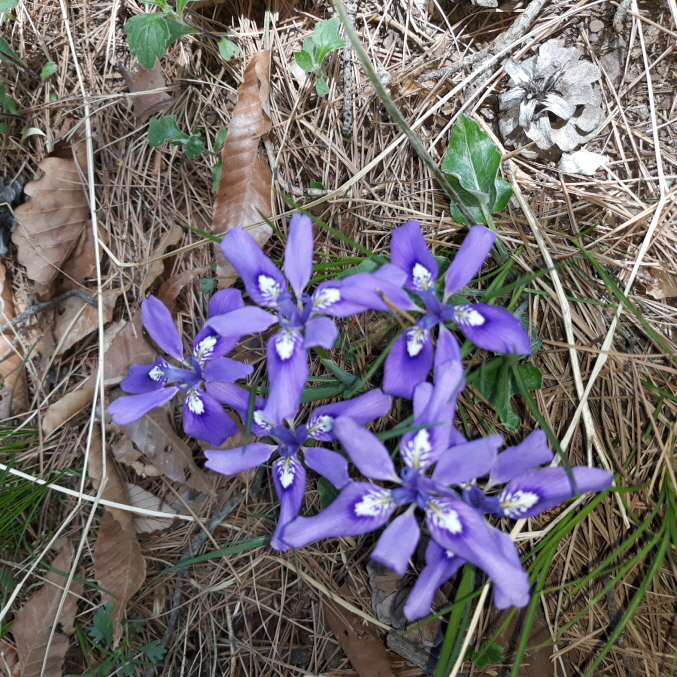 1599d9342bd11b4a9c6386546b4f17bc