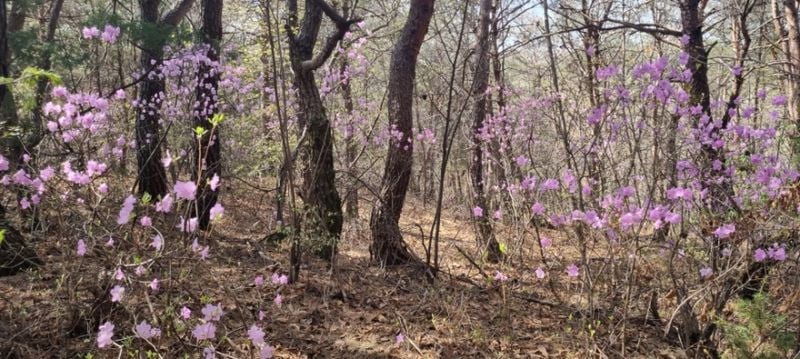 750db5012e3de6d5bd9dcd4e88eb48ae