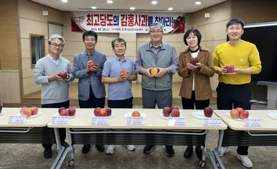 문경감홍사과 최고당도 22.5 브릭스.... 애플스타 대상